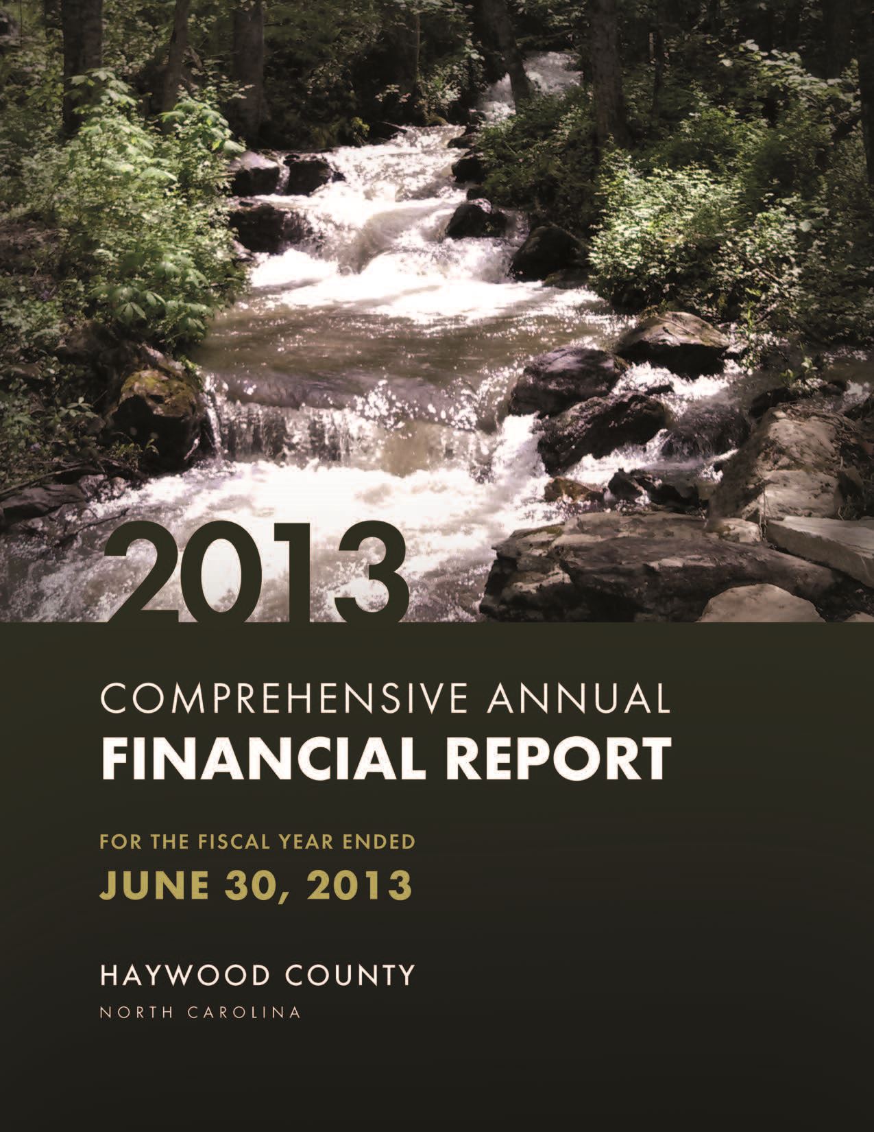 Comprehensive Annual Financial Report 2013 Cover Opens in new window