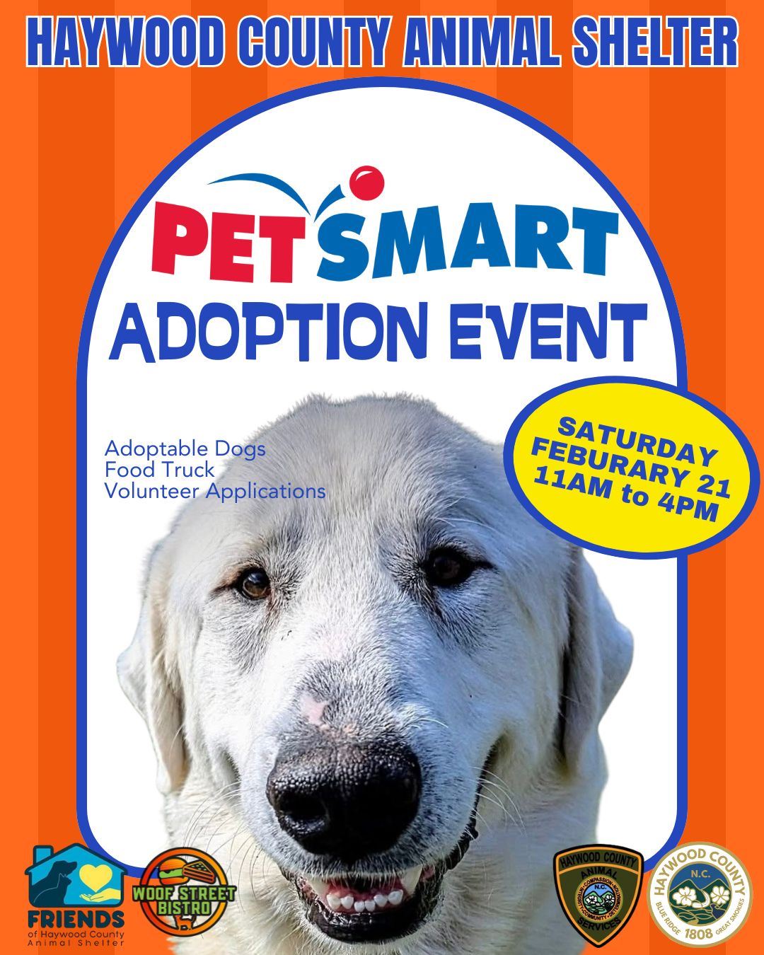 PetSmart Feb Adoption Event